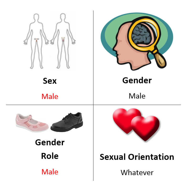 Post-op FtM transsexual